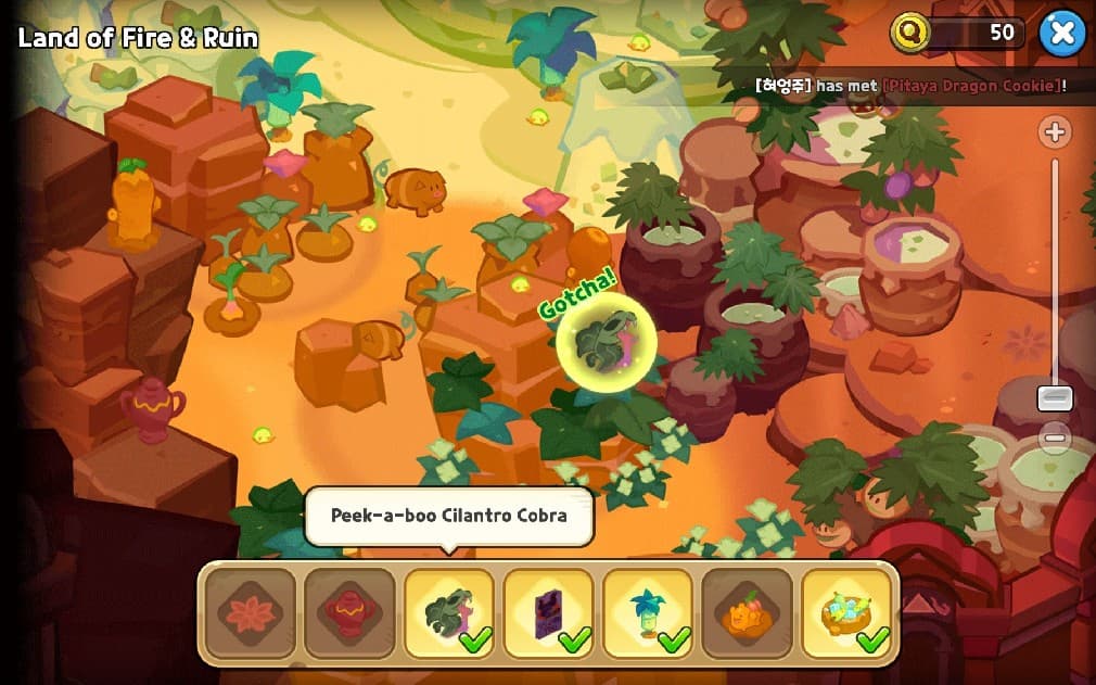 cilantro cobra location