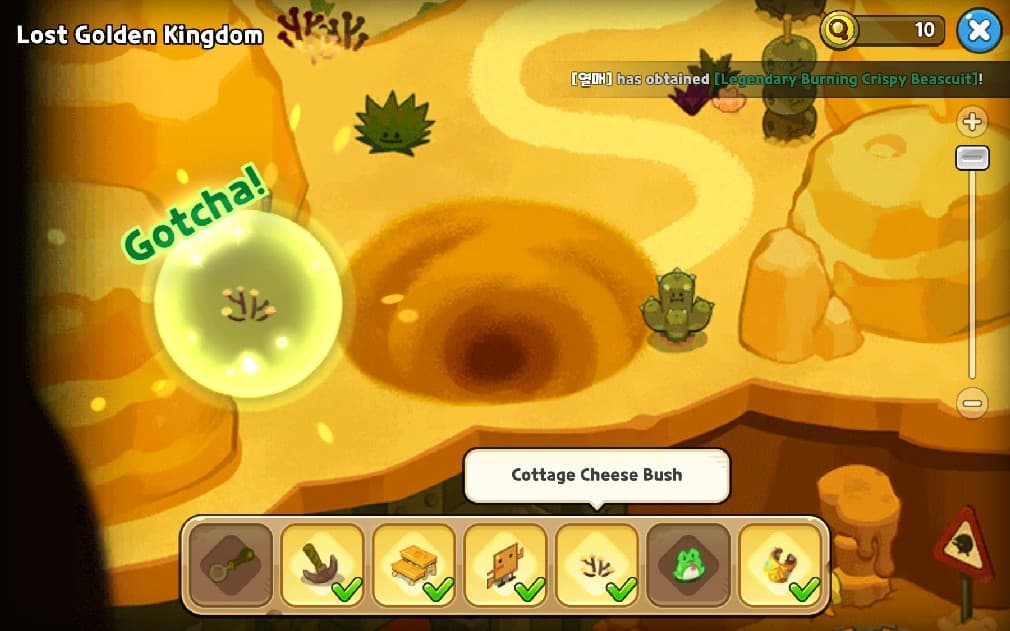 cottage cheese bush location