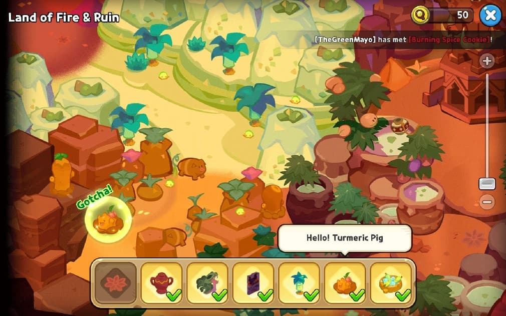 turmeric pig